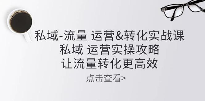 私域-流量 运营&转化实操课：私域 运营实操攻略 让流量转化更高效-网创星球