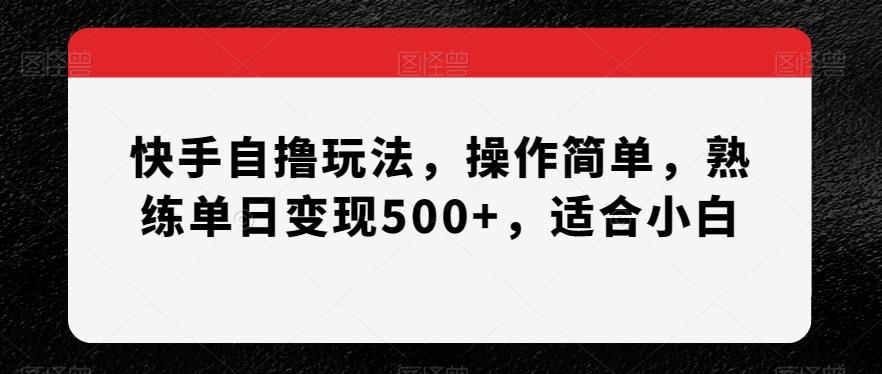 快手自撸玩法，操作简单，熟练单日变现500+，适合小白【揭秘】-网创星球