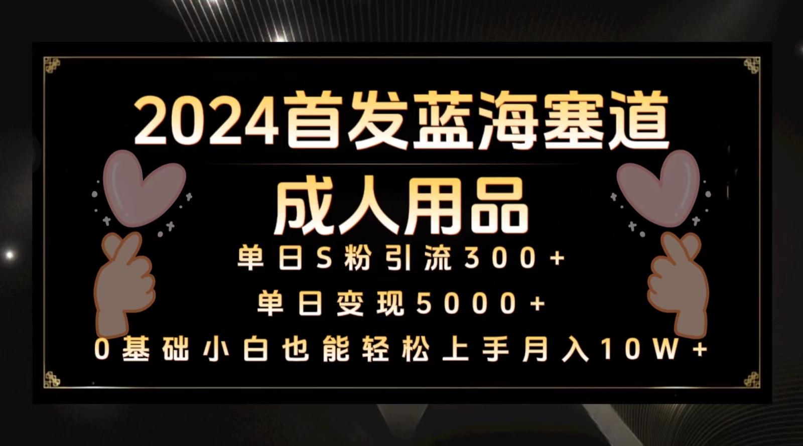 2024首发蓝海塞道成人用品，月入10W+保姆教程-网创星球