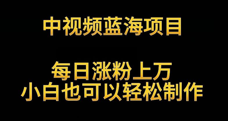 中视频蓝海项目，解读英雄人物生平，每日涨粉上万，小白也可以轻松制作，月入过万不是梦【揭秘】-网创星球