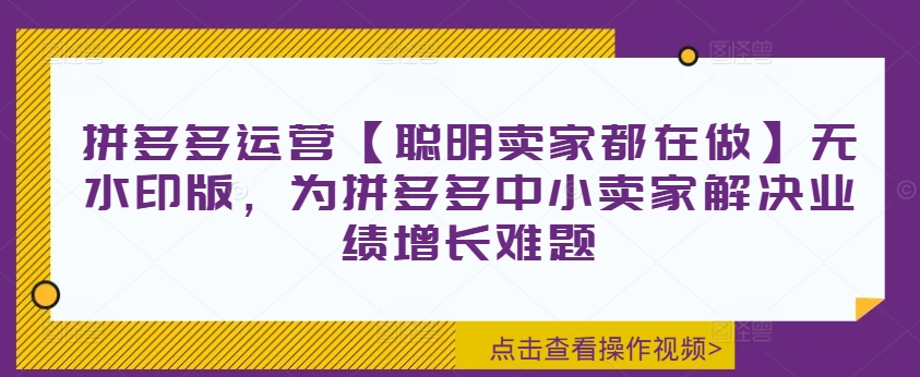 拼多多运营【聪明卖家都在做】无水印版，为拼多多中小卖家解决业绩增长难题-网创星球