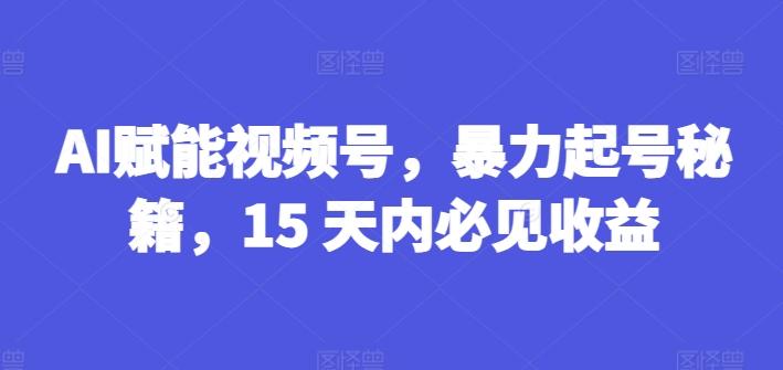 AI赋能视频号，暴力起号秘籍，15 天内必见收益【揭秘】-网创星球