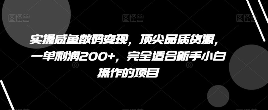 实操咸鱼数码变现，顶尖品质货源，一单利润200+，完全适合新手小白操作的项目【揭秘】-网创星球