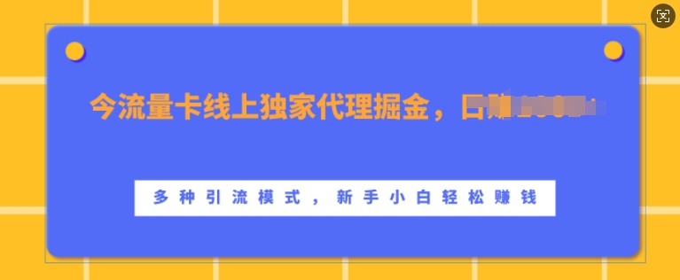 流量卡线上独家代理掘金，日入1k+ ，多种引流模式，新手小白轻松上手【揭秘】-网创星球