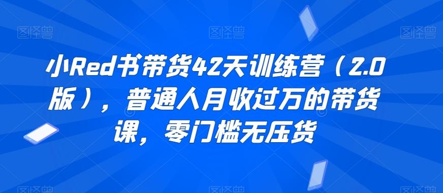 小Red书带货42天训练营(2.0版)，普通人月收过万的带货课，零门槛无压货-网创星球