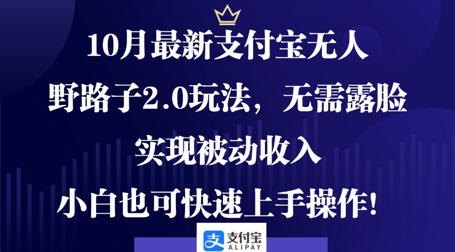 10月最新支付宝无人野路子2.0玩法，无需露脸，实现被动收入，小白也可…-网创星球
