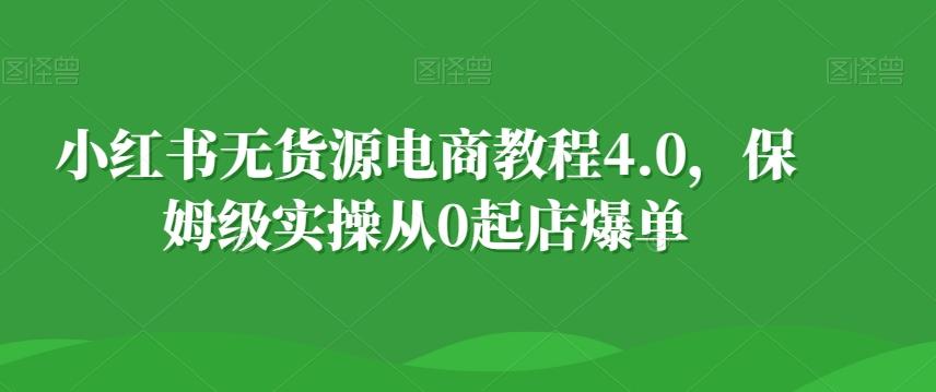 小红书无货源电商教程4.0，保姆级实操从0起店爆单【拆解】-网创星球