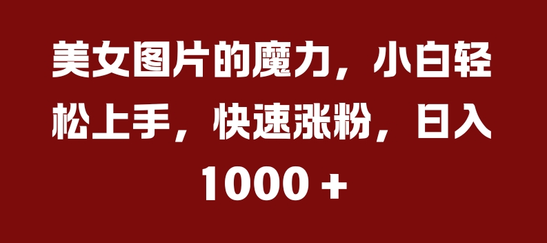 美女图片的魔力，小白轻松上手，快速涨粉，日入几张【揭秘】-网创星球