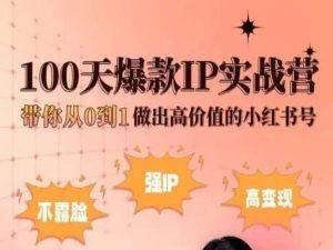 小红书100天爆款IP实战营，带你从0到1做出高价值的小红书号-网创星球