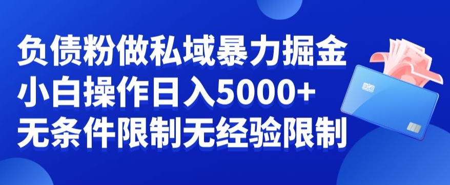 负债粉私域暴力掘金，小白操作入5000，无经验限制，无条件限制【揭秘】-网创星球