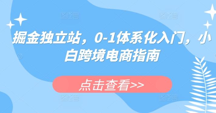 掘金独立站，0-1体系化入门，小白跨境电商指南-网创星球