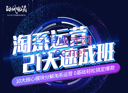 淘系运营21天速成班(更新24年5月)-网创星球