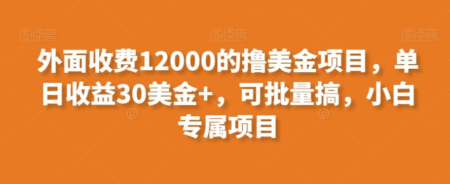 外面收费12000的撸美金项目，单日收益30美金+，可批量搞，小白专属项目-网创星球