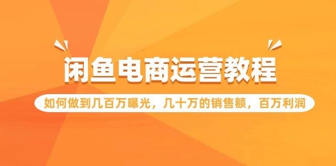(9560期)闲鱼电商运营教程：如何做到几百万曝光，几十万的销售额，百万利润-网创星球