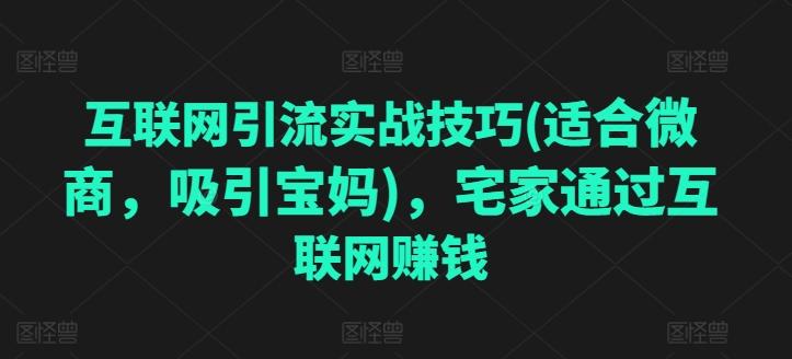 互联网引流实战技巧(适合微商，吸引宝妈)，宅家通过互联网赚钱-网创星球