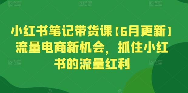 小红书笔记带货课【6月更新】流量电商新机会，抓住小红书的流量红利-网创星球