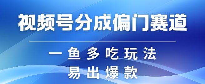 视频号创作者分成计划偏门类目，容易爆流，实拍内容简单易做【揭秘】-网创星球