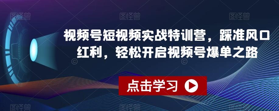 视频号短视频实战特训营，踩准风口红利，轻松开启视频号爆单之路-网创星球