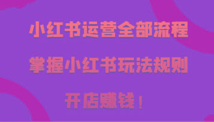 小红书运营全部流程，掌握小红书玩法规则，开店赚钱！-网创星球