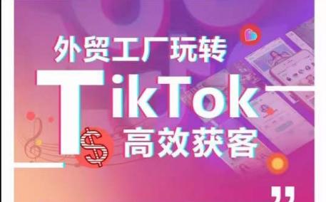 外贸工厂玩转TikTok高效获客，多种引流方式与账号定位技巧，拆解爆款短视频打造成功案例-网创星球