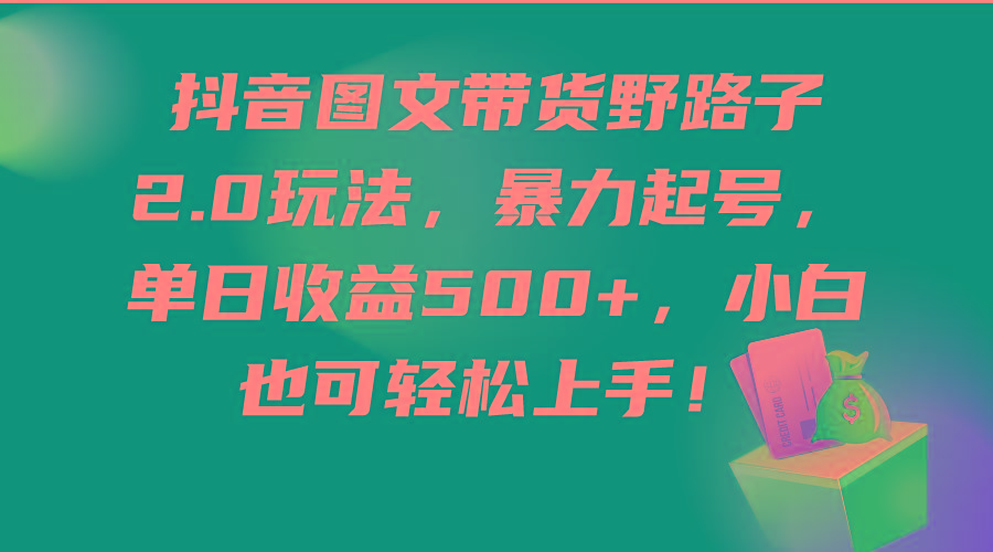 (9790期)抖音图文带货野路子2.0玩法，暴力起号，单日收益500+，小白也可轻松上手！-网创星球