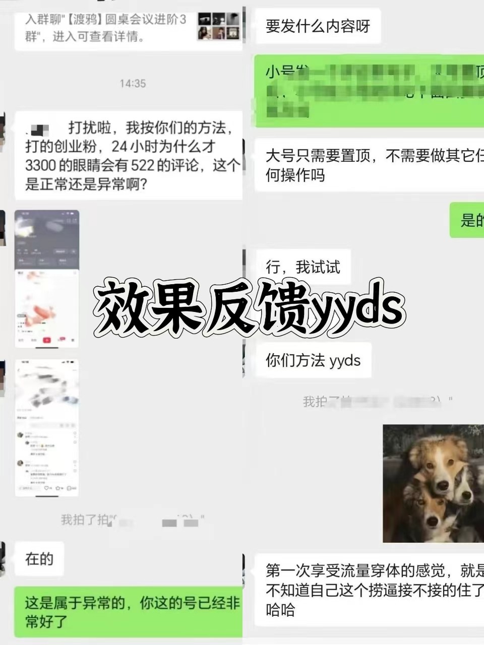 图片[3]-抖音小红书视频号全平台引流打法，全自动引流日引2000+精准客户-网创星球