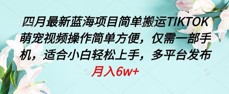四月最新蓝海项目，简单搬运TIKTOK萌宠视频，操作简单方便，仅需一部手机【揭秘】-网创星球