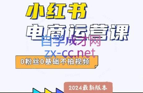 达哥·小红书电商运营(2024版)-网创星球