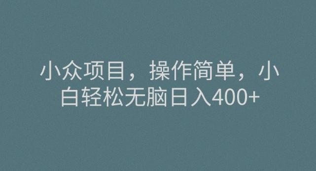 小众项目，操作简单，小白轻松无脑日入400+-网创星球