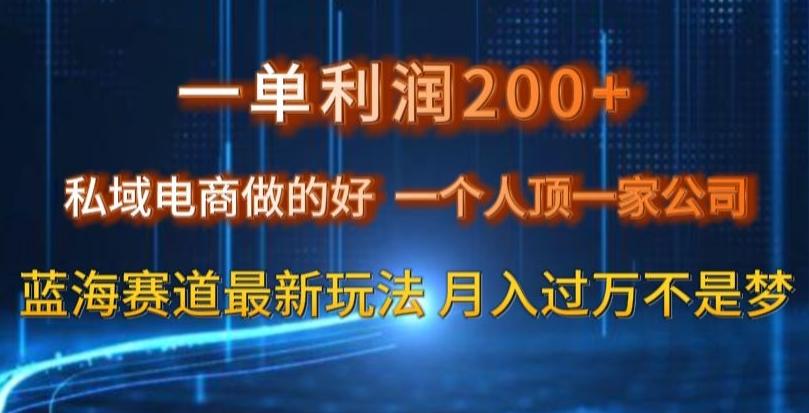 一单利润200私域电商做的好，一个人顶一家公司蓝海赛道最新玩法【揭秘】-网创星球
