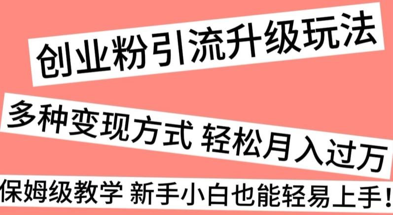 创业粉引流升级玩法，多种变现方式轻松月入过万，保姆级教学新手小白也能轻易上手！-网创星球