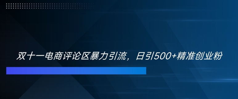 双十一电商评论区暴力引流，日引500+精准创业粉【揭秘】-网创星球