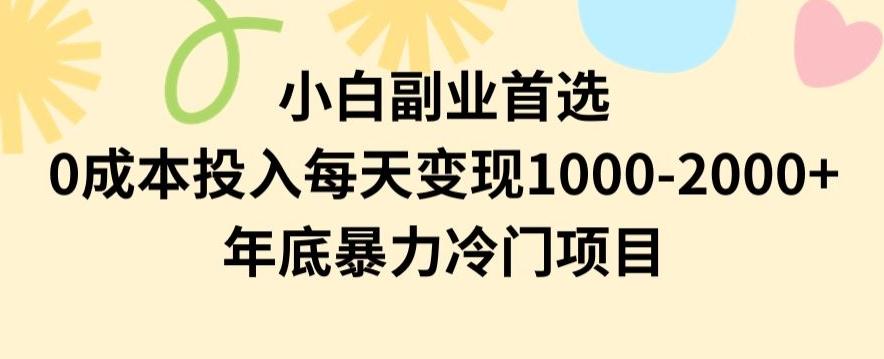 小白副业首选，0成本投入，每天变现1000-2000年底暴力冷门项目【揭秘】-网创星球