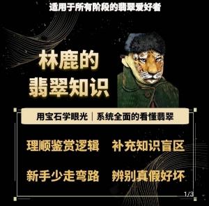 林鹿的翡翠知识，​用宝石眼光，系统全面的看懂翡翠-网创星球