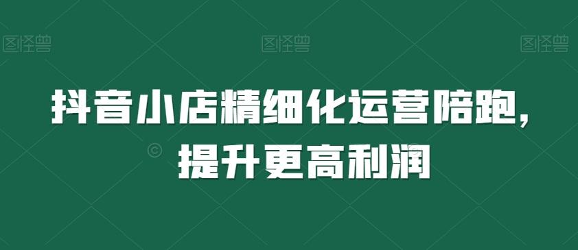 抖音小店精细化运营陪跑，提升更高利润-网创星球