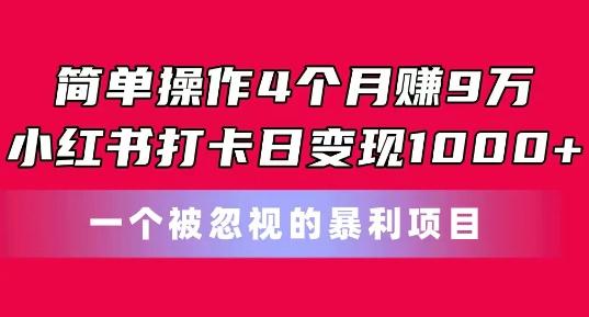 简单操作4个月赚9w，小红书打卡日变现1k，一个被忽视的暴力项目【揭秘】-网创星球
