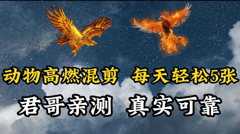 动物超燃混剪，每天轻松5张，剪辑简单大家爱看【揭秘】-网创星球