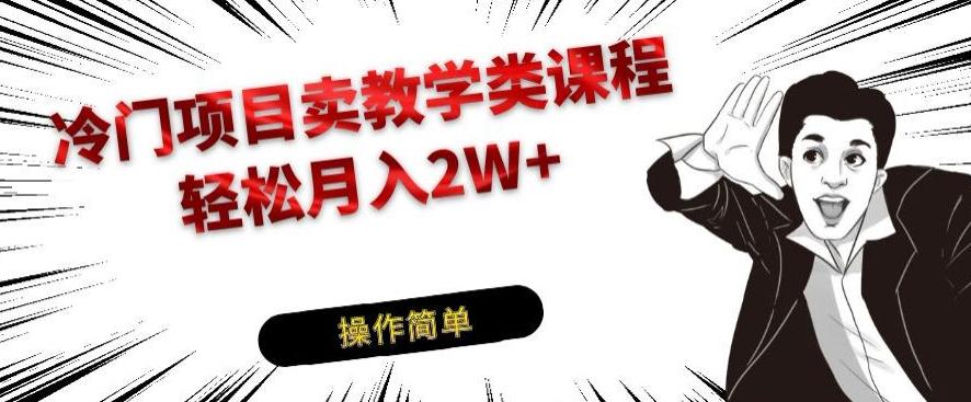 冷门项目卖教学类课程，轻松月入2W+-网创星球