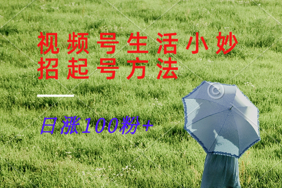 视频号生活小妙招分享赛道， 起号涨粉新方法，日涨100粉-网创星球