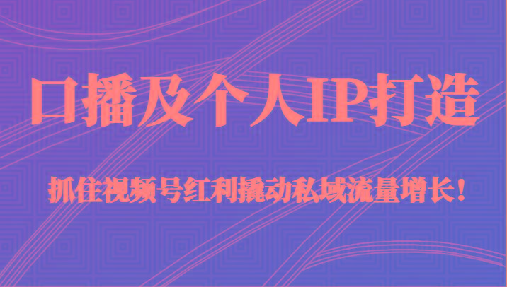 口播及个人IP打造，抓住视频号红利撬动私域流量增长！（45节课）-网创星球