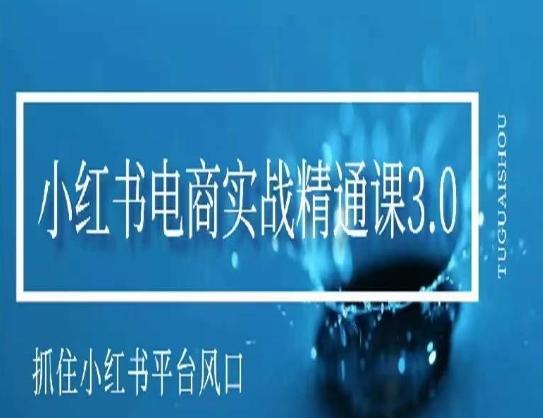 小红书电商实战精通课3.0，抓住小红书平台的风口，不错过有一个赚钱的机会-网创星球