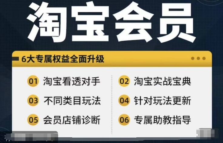 淘宝会员【淘宝所有课程，全面分析对手】，初级到高手全系实战宝典-网创星球