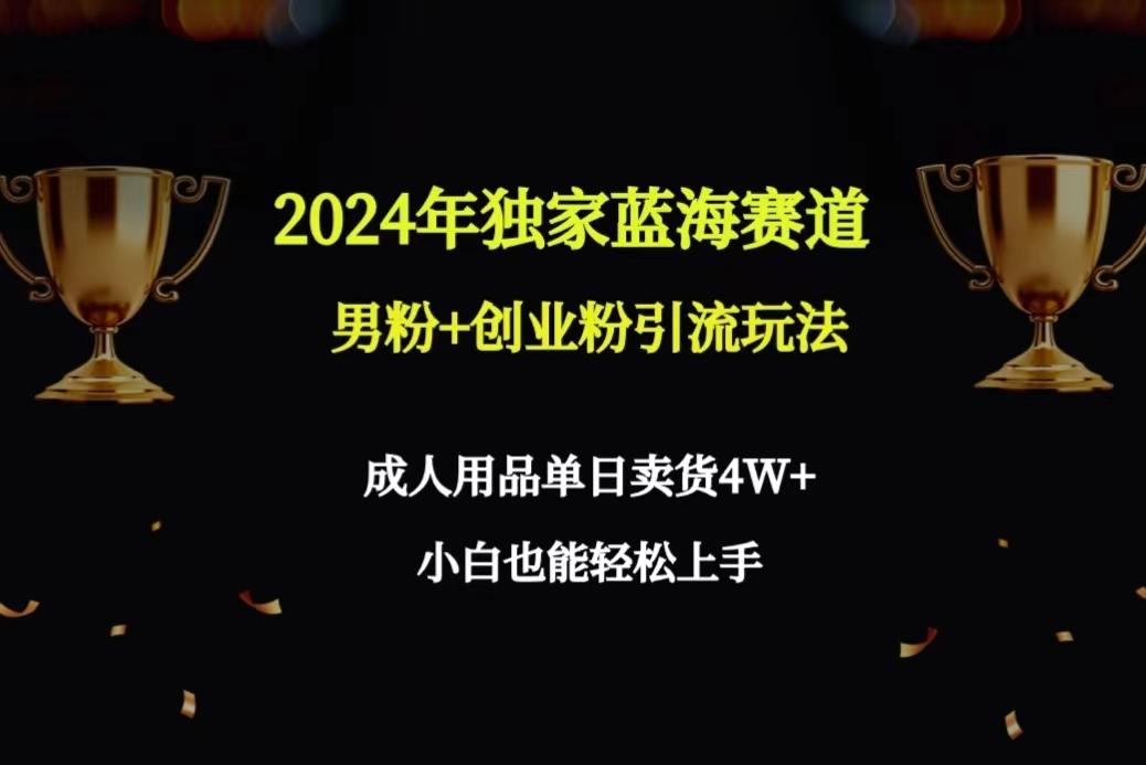 2024年独家蓝海赛道男粉+创业粉引流玩法，成人用品单日卖货4W+保姆教程-网创星球