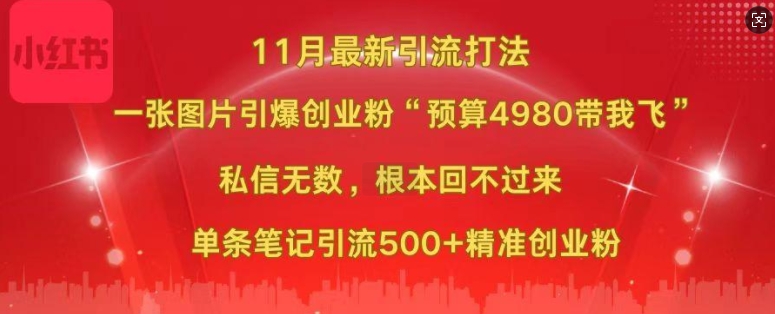 小红书11月最新图片打粉，一张图片引爆创业粉，“预算4980带我飞”，单条引流500+精准创业粉-网创星球