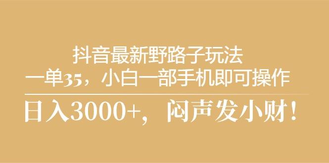 抖音最新野路子玩法，一单35，小白一部手机即可操作，，日入3000+，闷…-网创星球