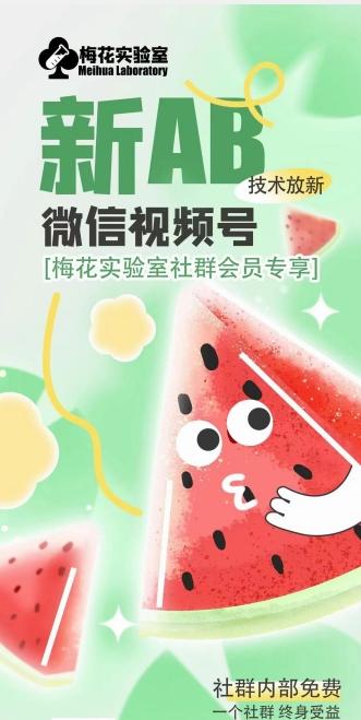 梅花实验室2024年AB技术视频号AB合成破解版-网创星球