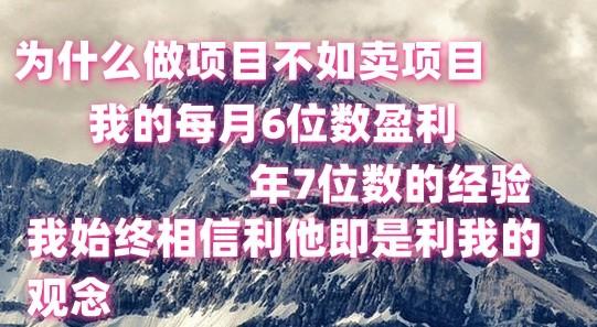 做项目不如卖项目，每月6位数盈利，年7位数经验-网创星球