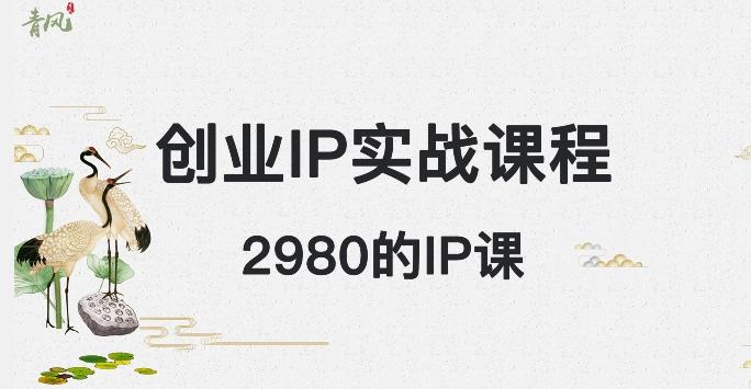 外边卖2980的创业IP课程，做私域月入5w+-网创星球