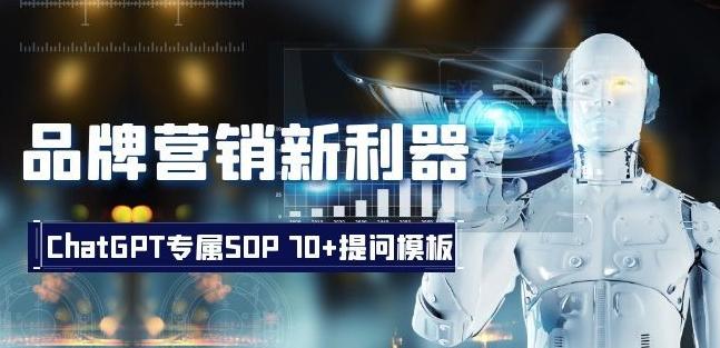 品牌营销新利器：ChatGPT专属SOP，70+提问模板【文档】-网创星球