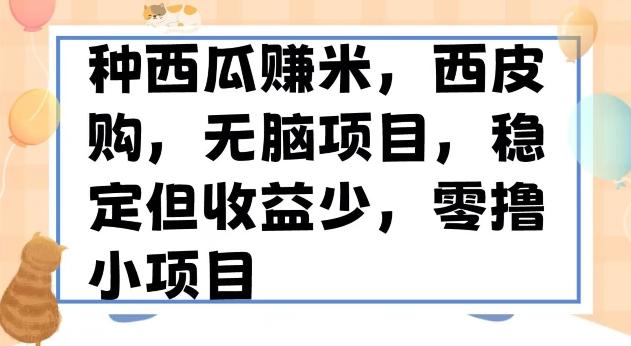 种西瓜赚米，西皮购稳定长久零撸小项目-网创星球